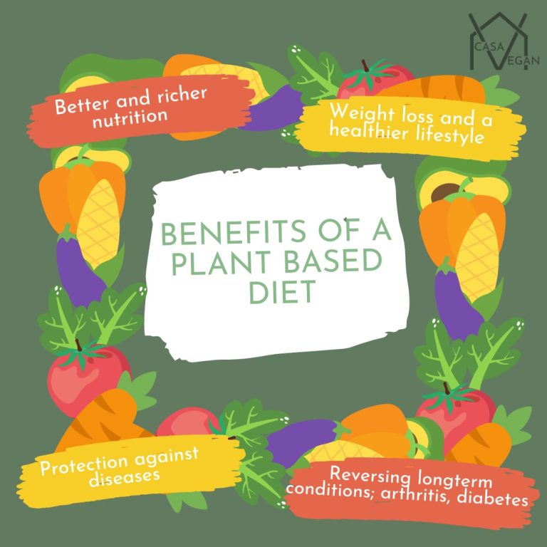Benefits of plantbased protein alternatives I Moved Back